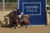 Oxford Polo 2023_01_08 0053